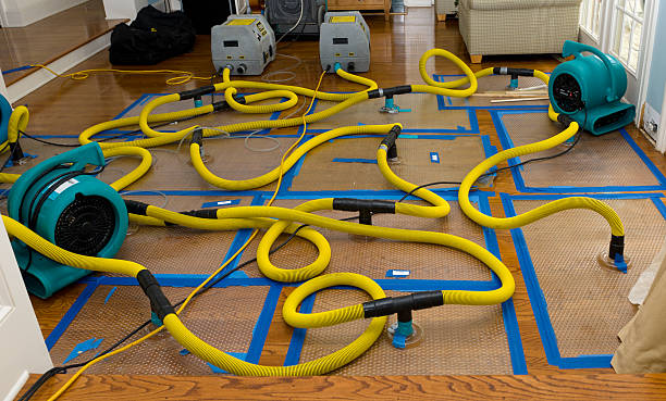 Professional Crawl Space Water Removal technician working in Palmyra, MI